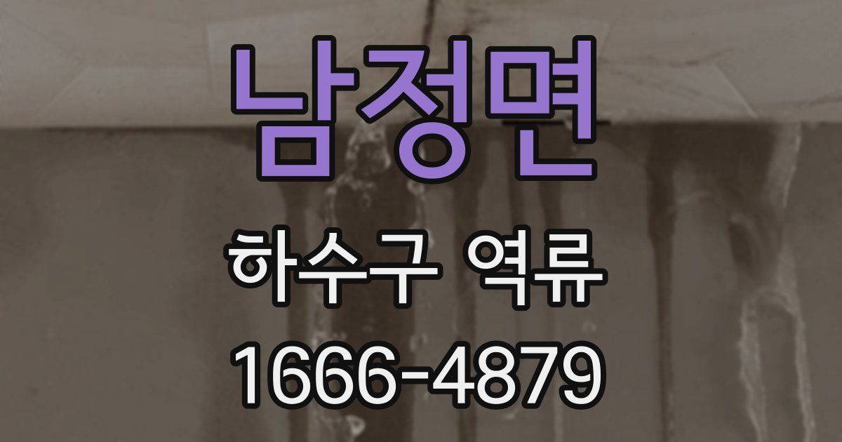 남정면 하수구 역류