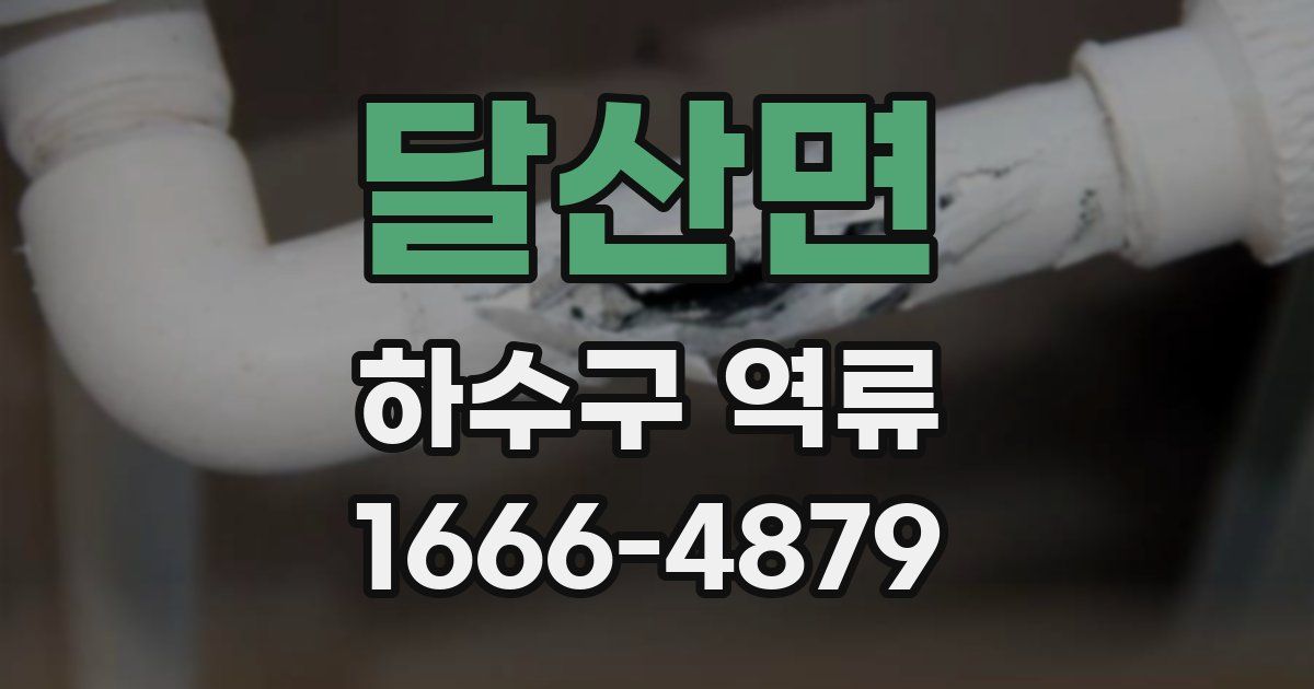 달산면 하수구 역류