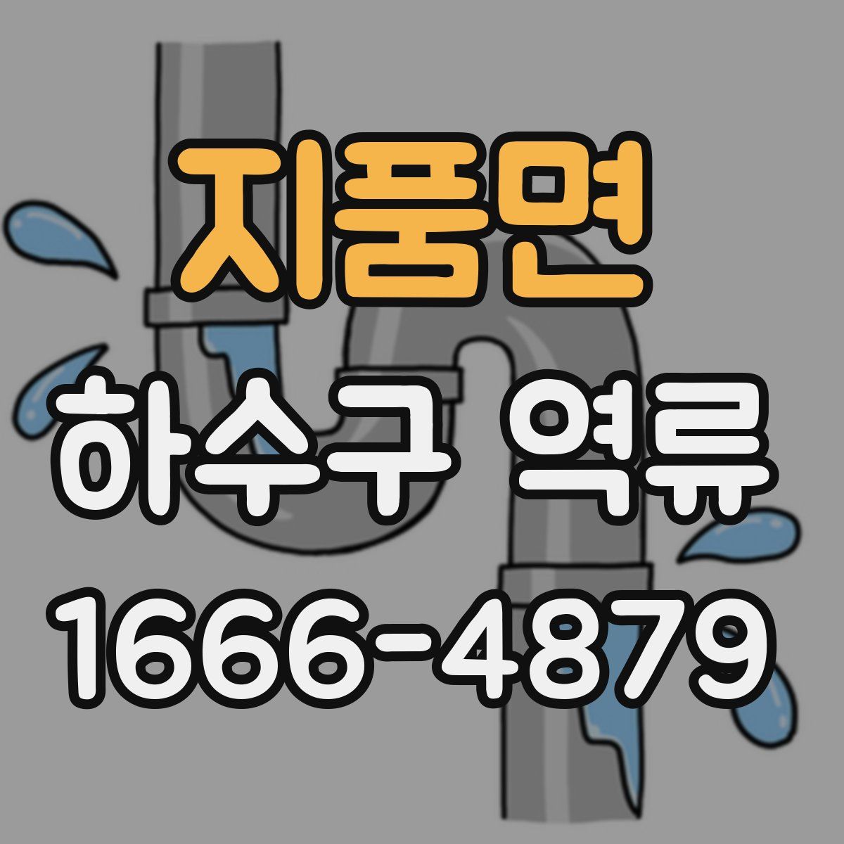 지품면 하수구 역류