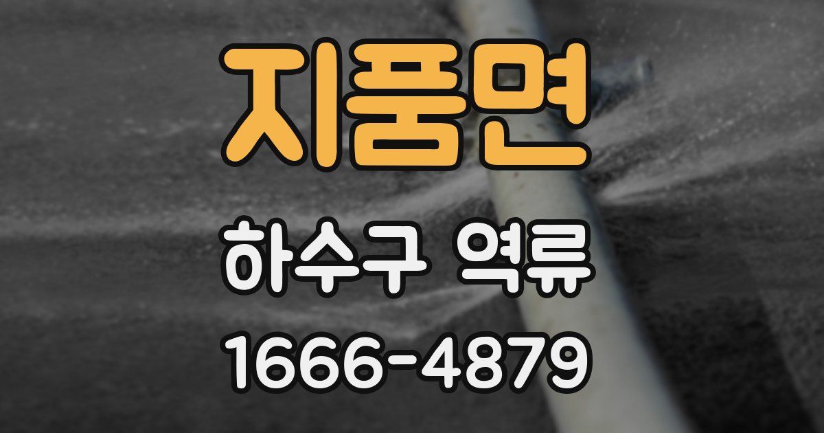 지품면 하수구 역류