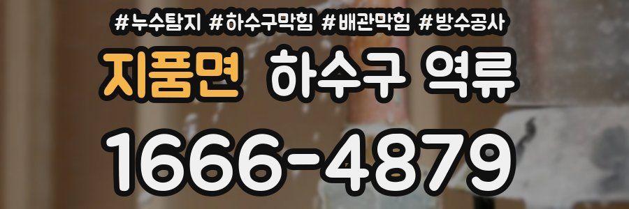 지품면 하수구 역류