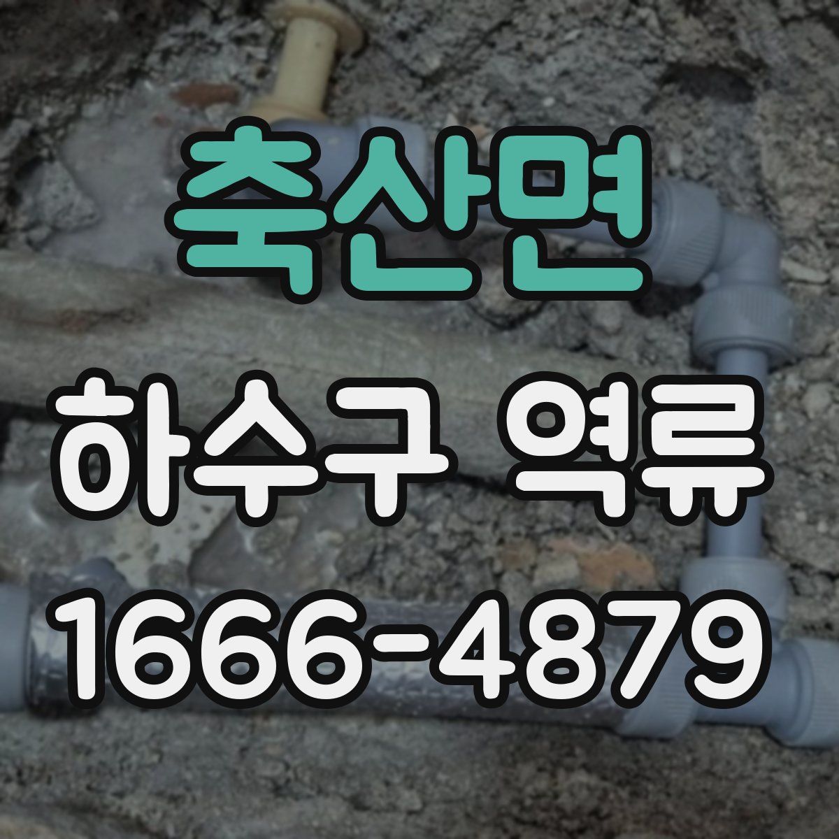 축산면 하수구 역류