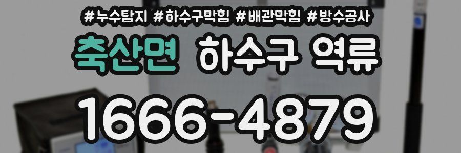 축산면 하수구 역류