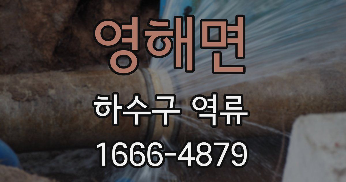 영해면 하수구 역류