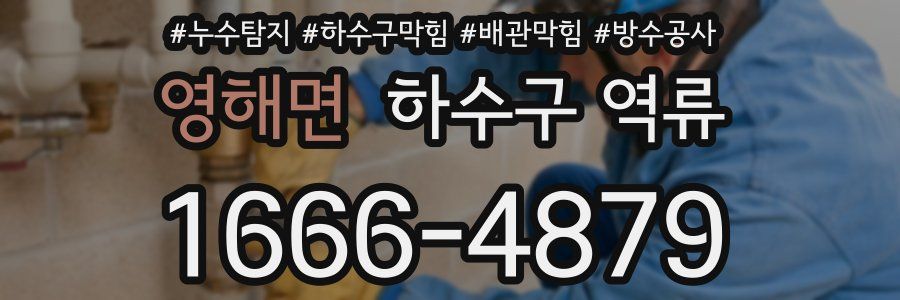 영해면 하수구 역류