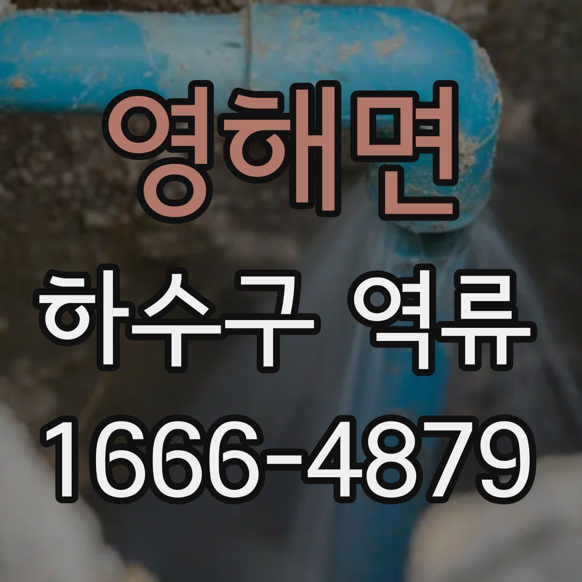 영해면 하수구 역류