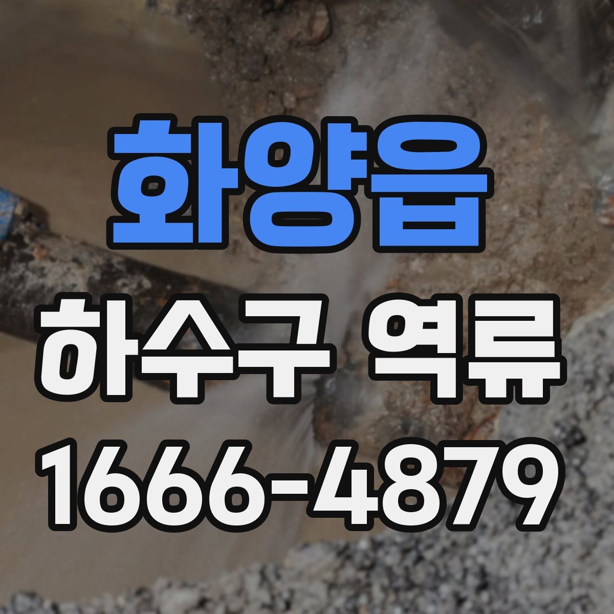 화양읍 하수구 역류