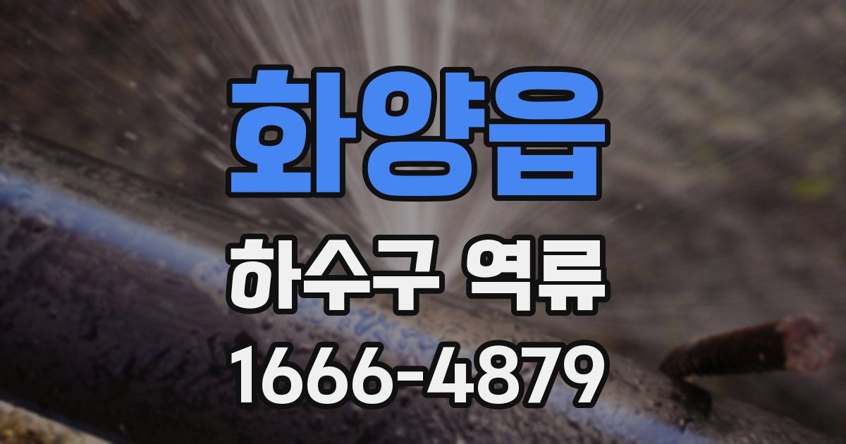 화양읍 하수구 역류