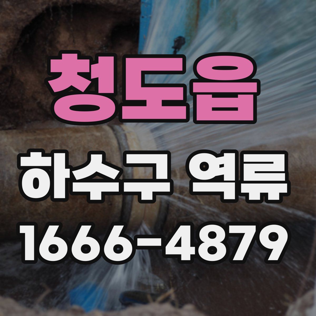 청도읍 하수구 역류