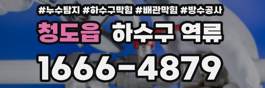청도읍 하수구 역류