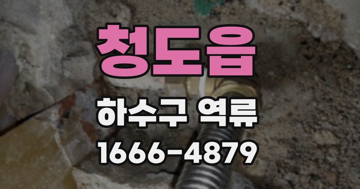 청도읍 하수구 역류