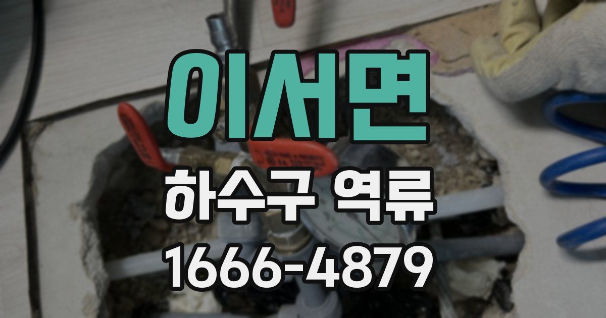 이서면 하수구 역류