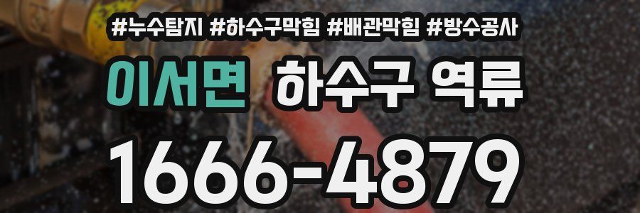 이서면 하수구 역류