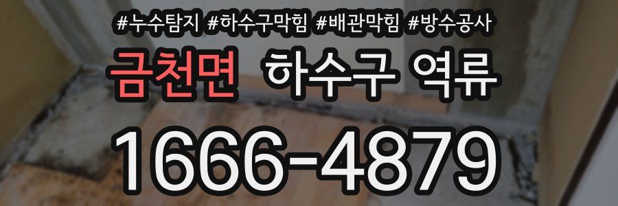 금천면 하수구 역류