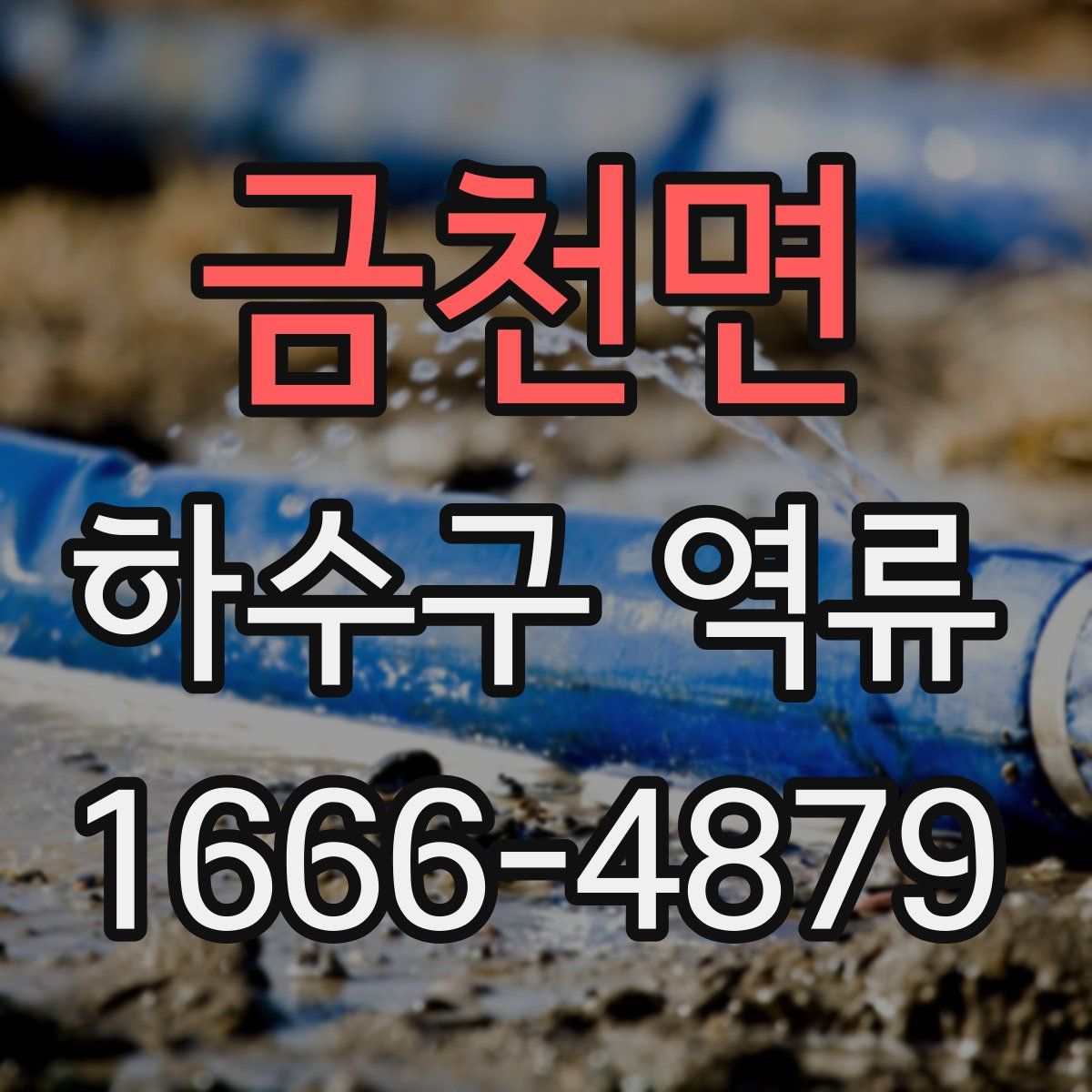 금천면 하수구 역류