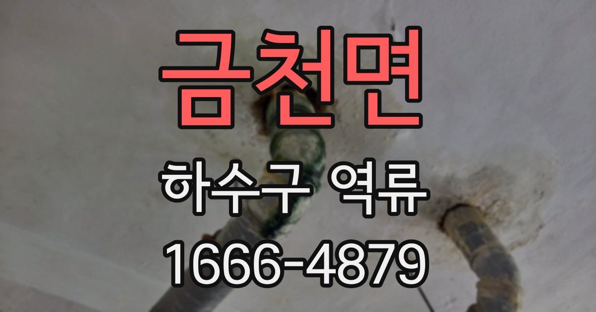 금천면 하수구 역류