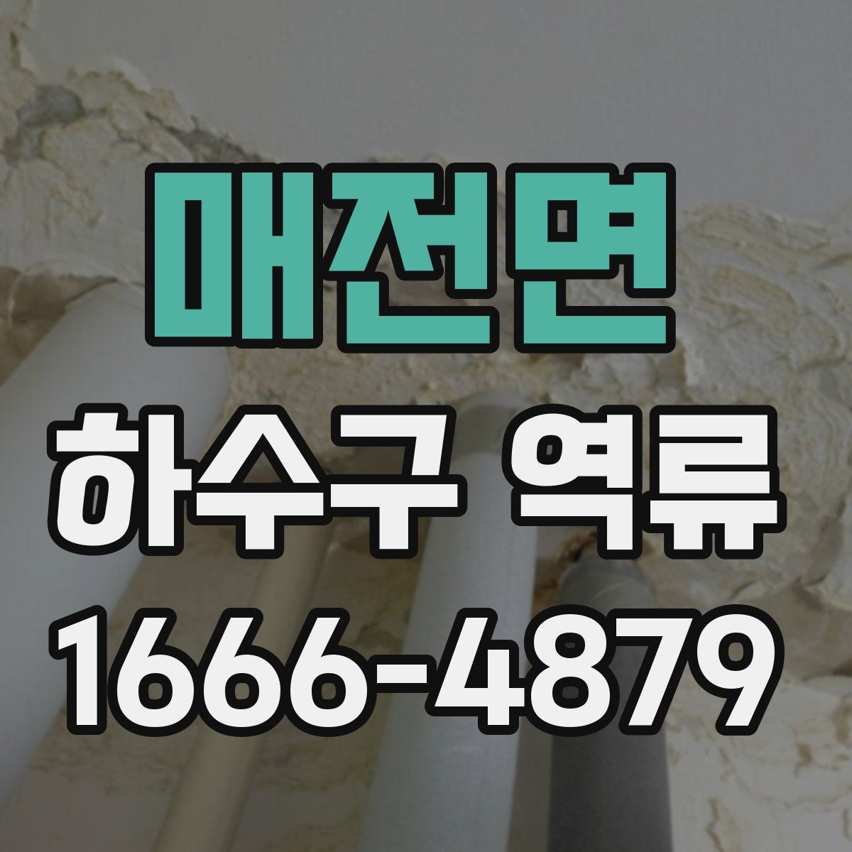 매전면 하수구 역류
