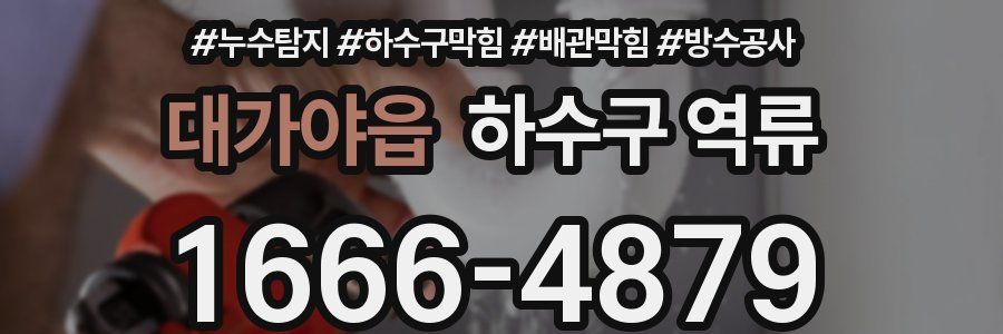 대가야읍 하수구 역류