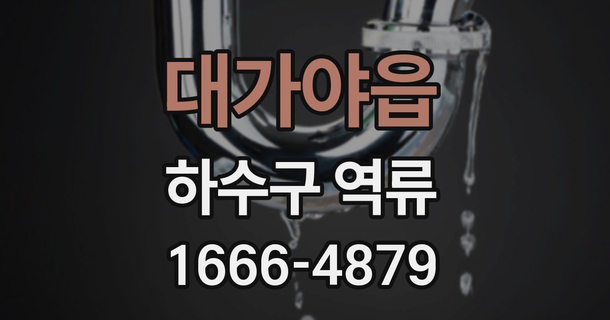대가야읍 하수구 역류