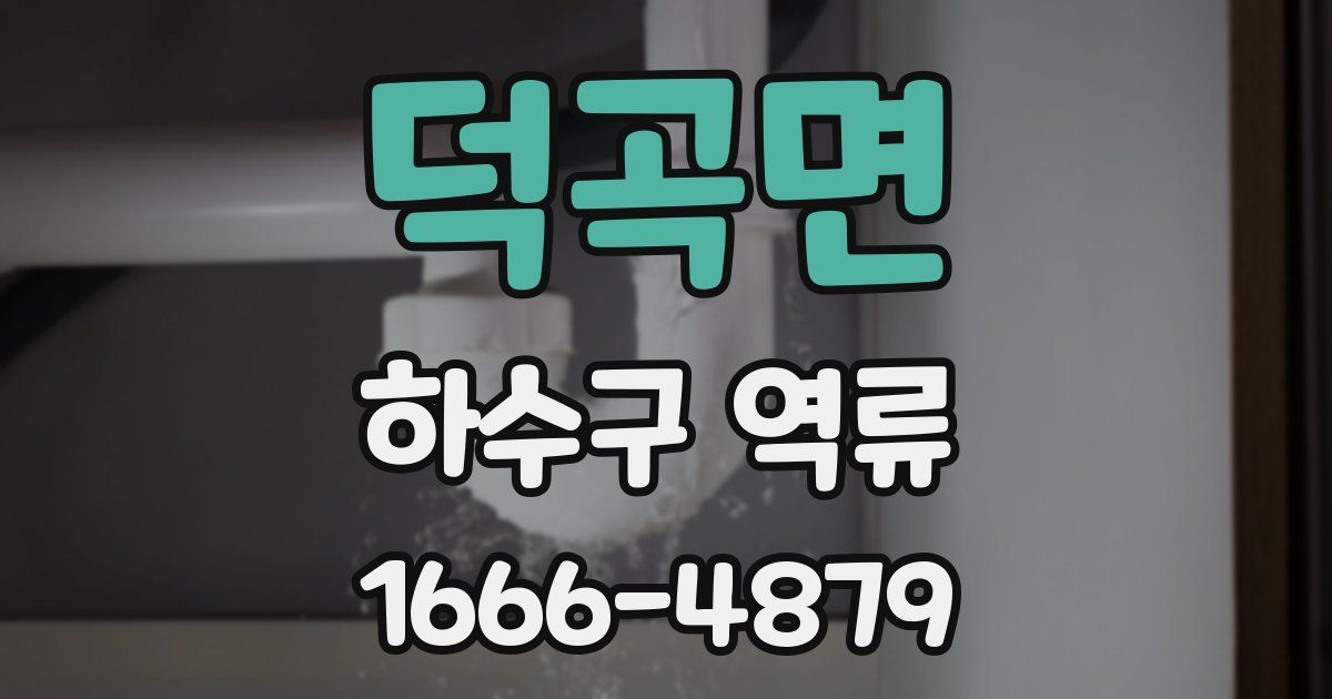 덕곡면 하수구 역류