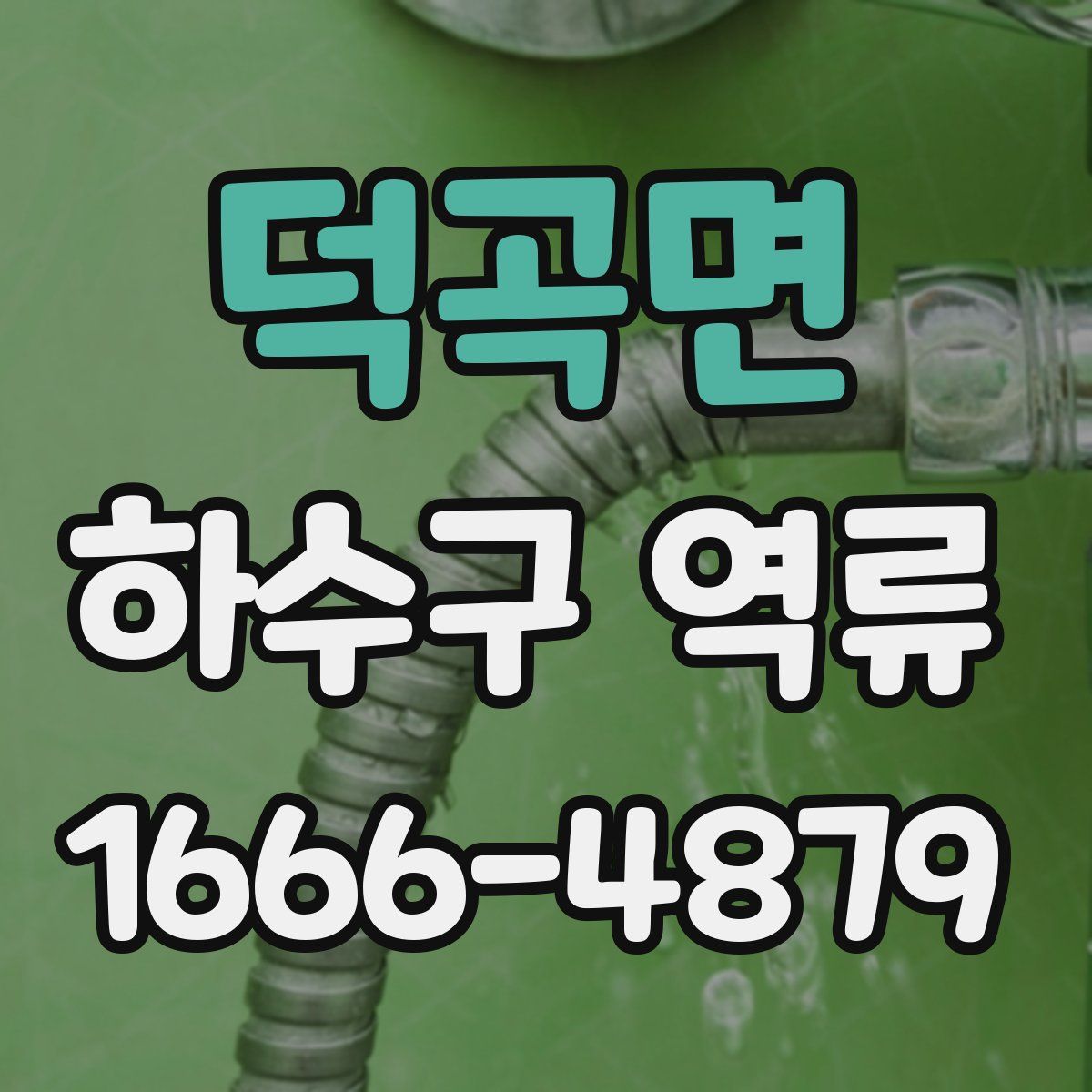 덕곡면 하수구 역류