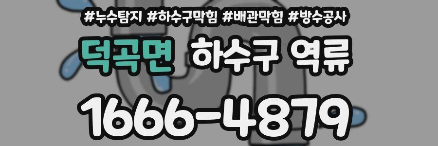덕곡면 하수구 역류
