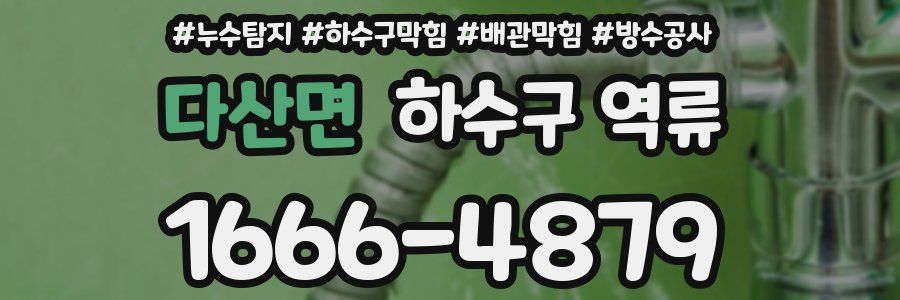 다산면 하수구 역류