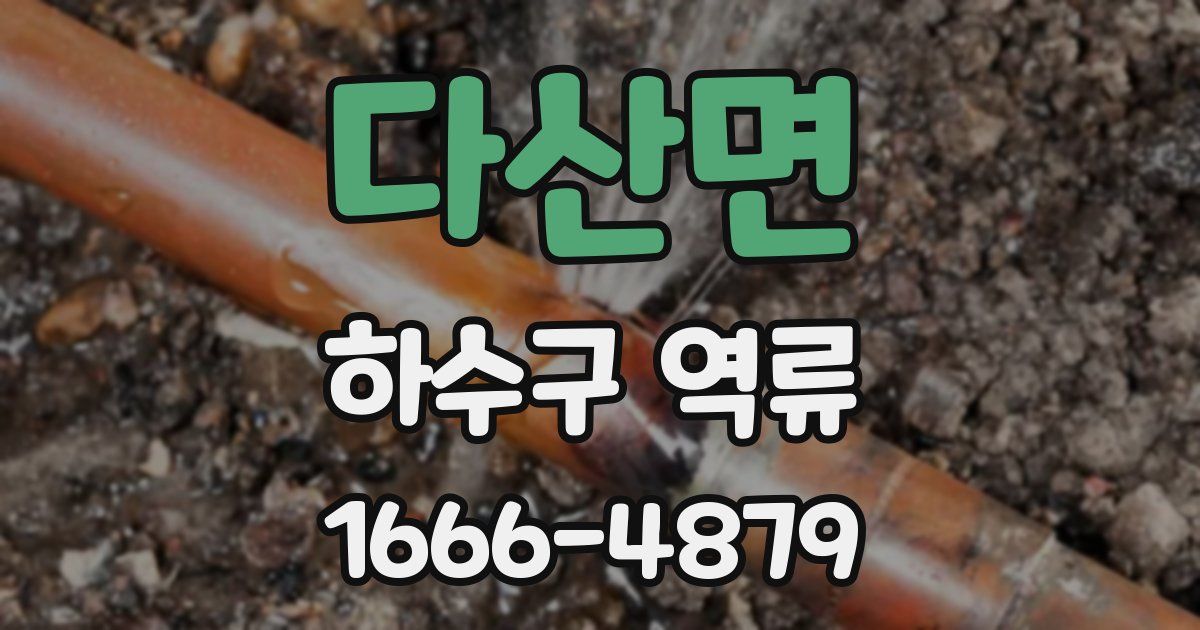 다산면 하수구 역류
