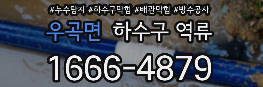 우곡면 하수구 역류