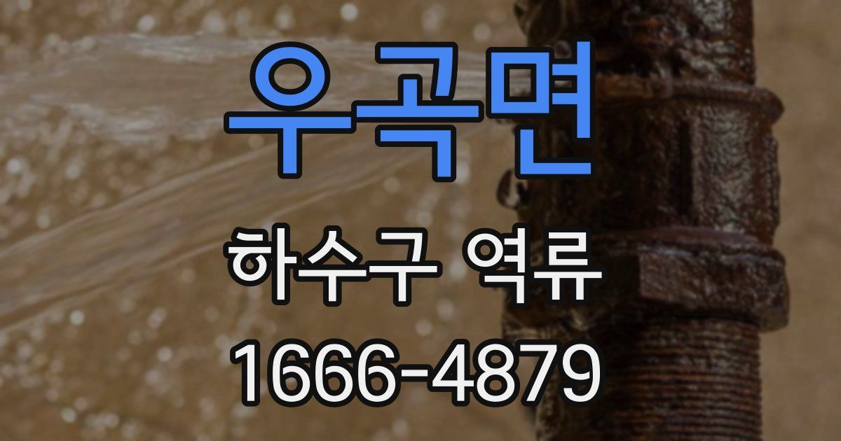 우곡면 하수구 역류