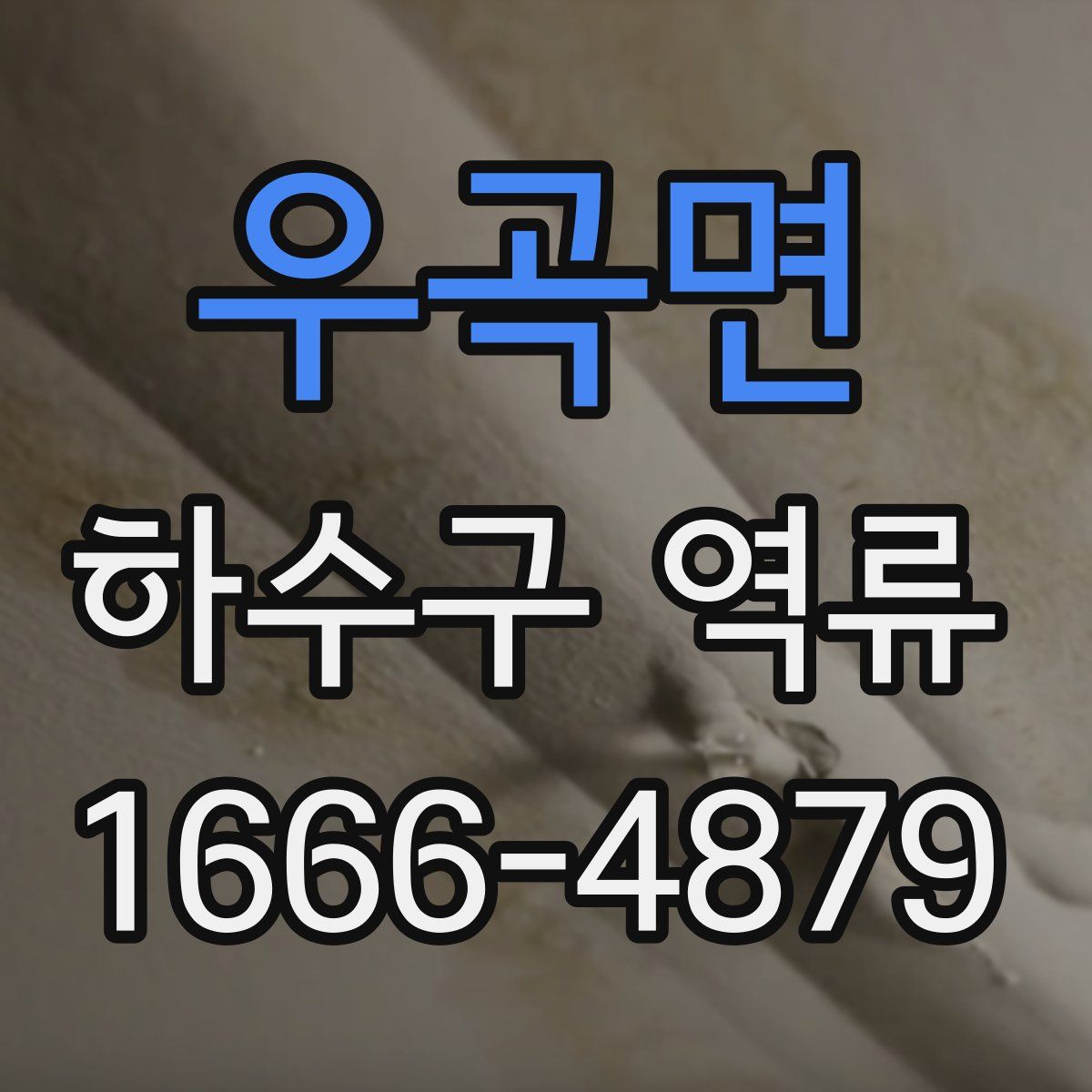 우곡면 하수구 역류