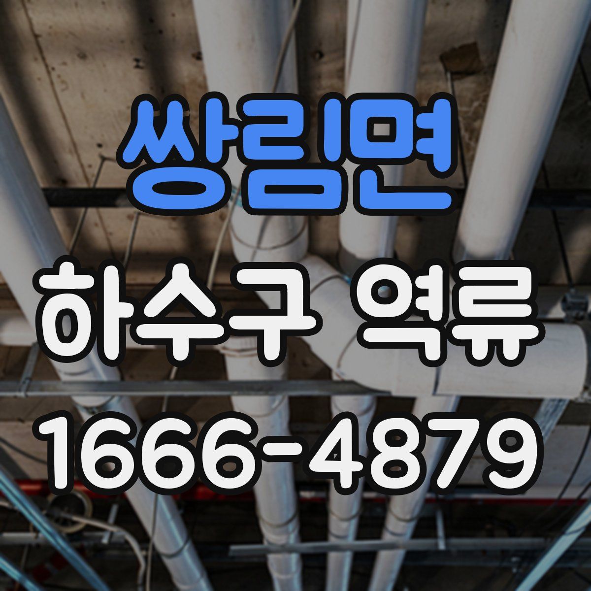 쌍림면 하수구 역류