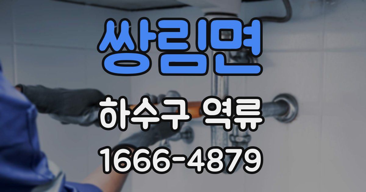 쌍림면 하수구 역류