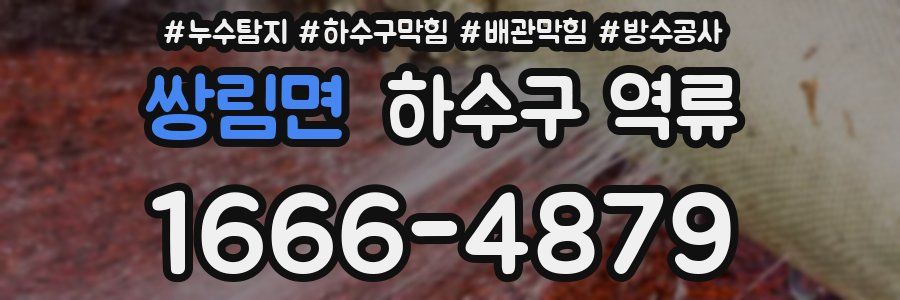 쌍림면 하수구 역류