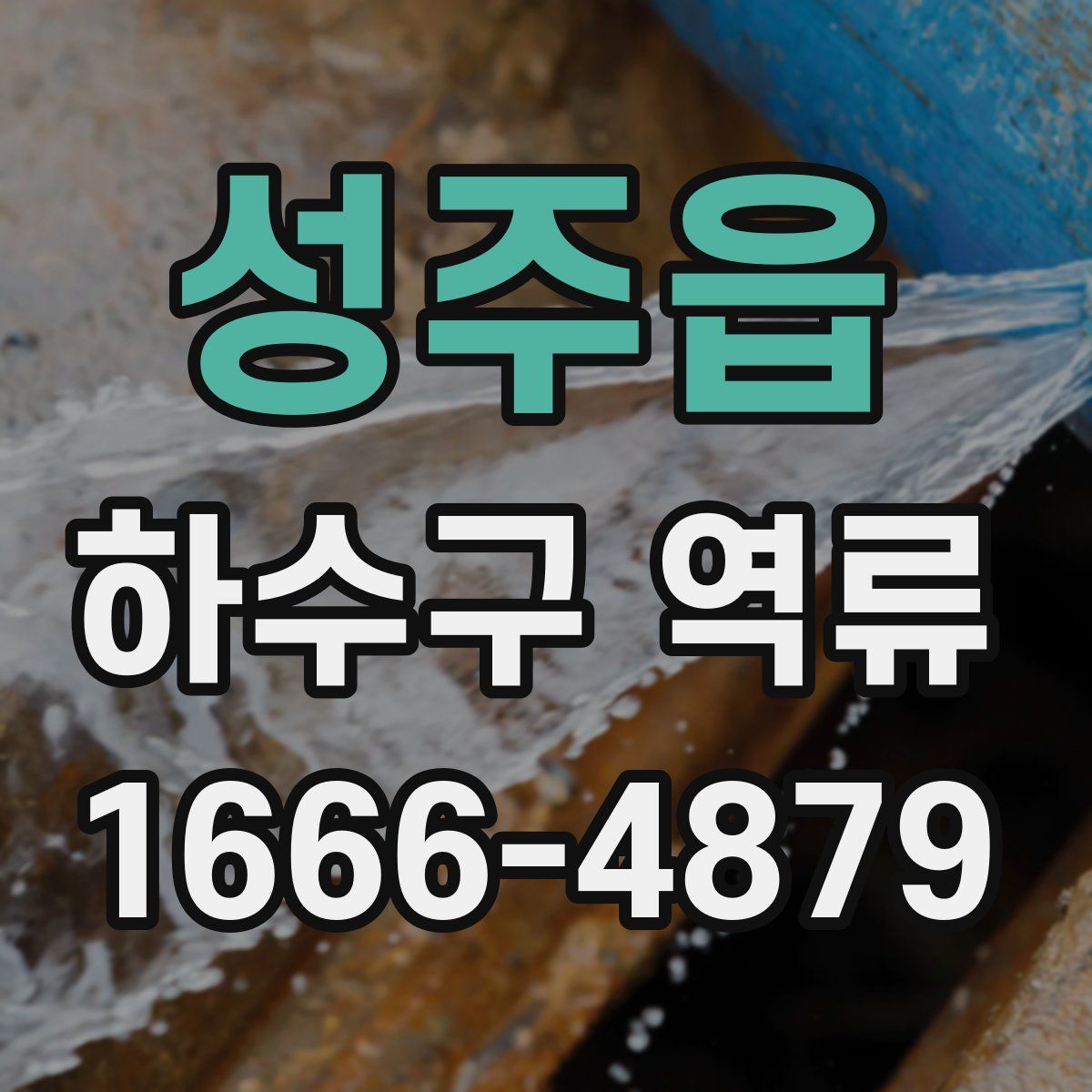성주읍 하수구 역류