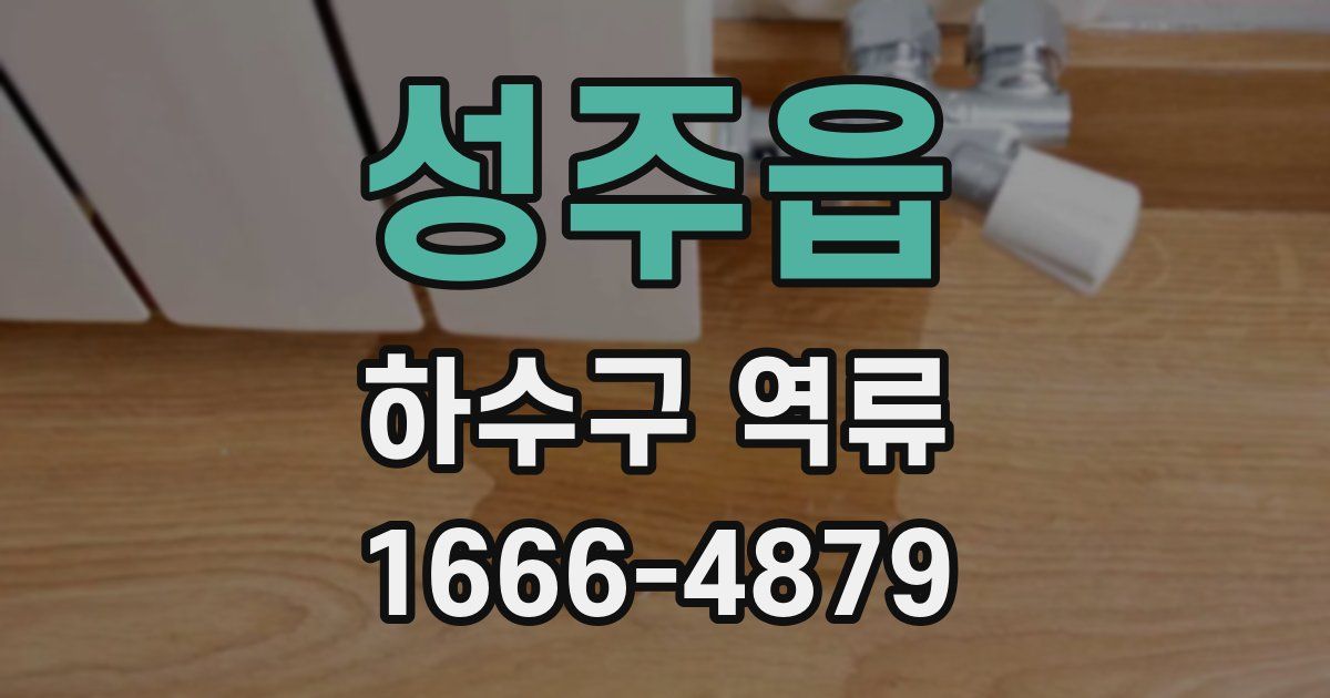 성주읍 하수구 역류