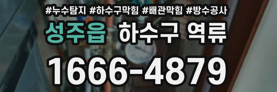 성주읍 하수구 역류