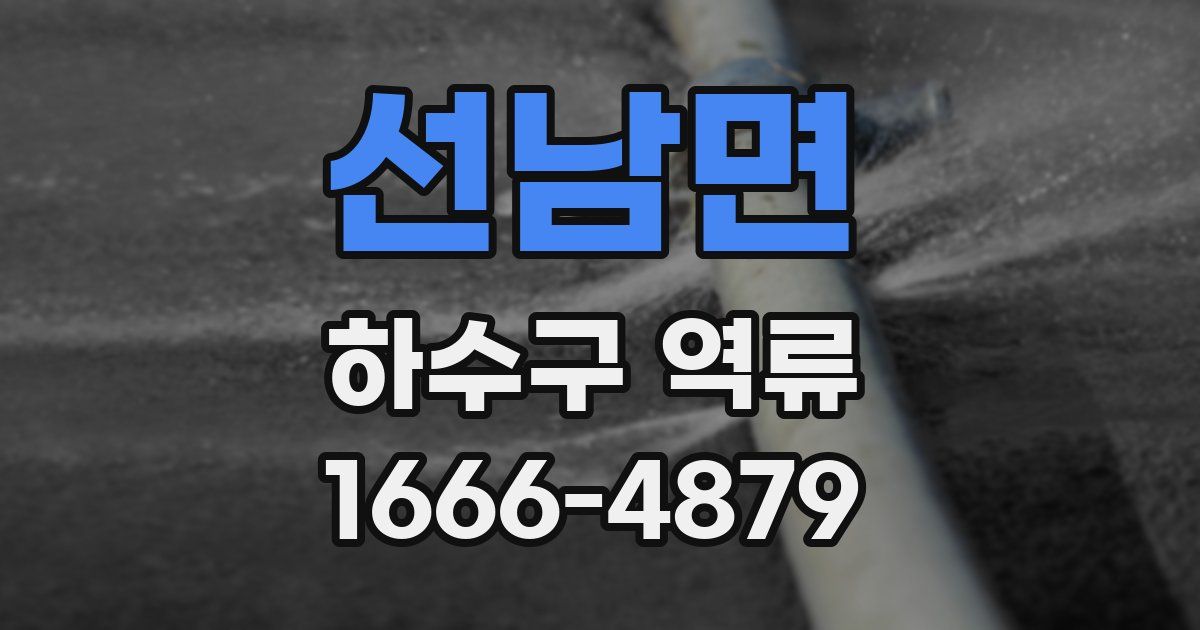 선남면 하수구 역류