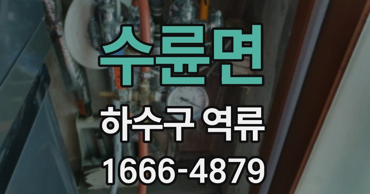 수륜면 하수구 역류