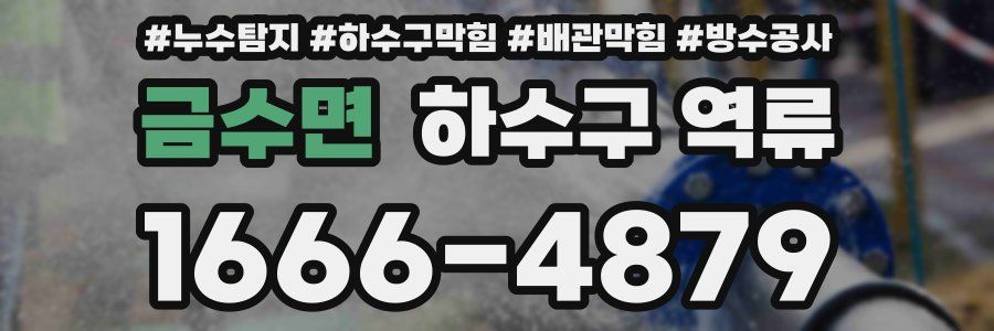 금수면 하수구 역류