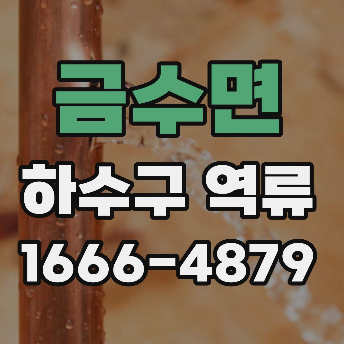 금수면 하수구 역류