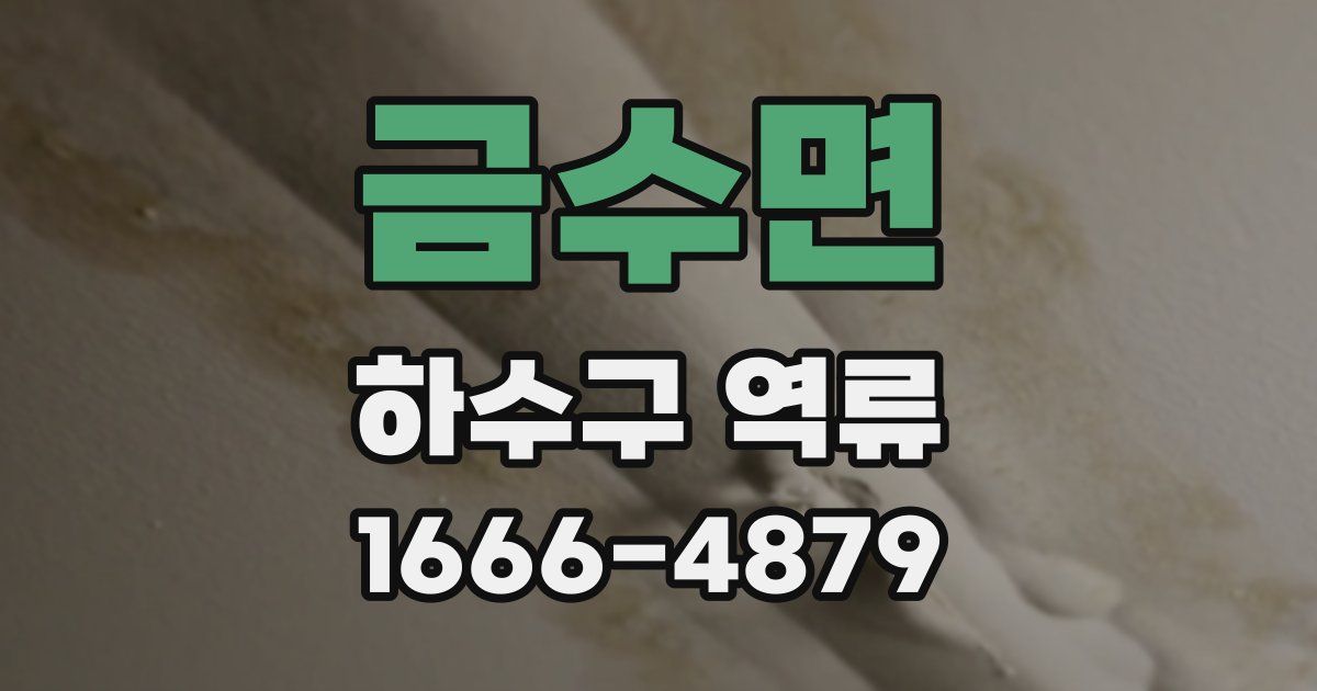 금수면 하수구 역류