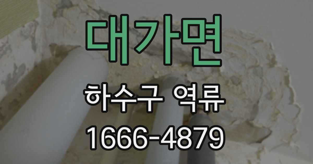 대가면 하수구 역류
