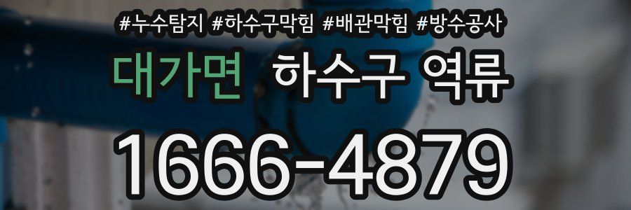 대가면 하수구 역류