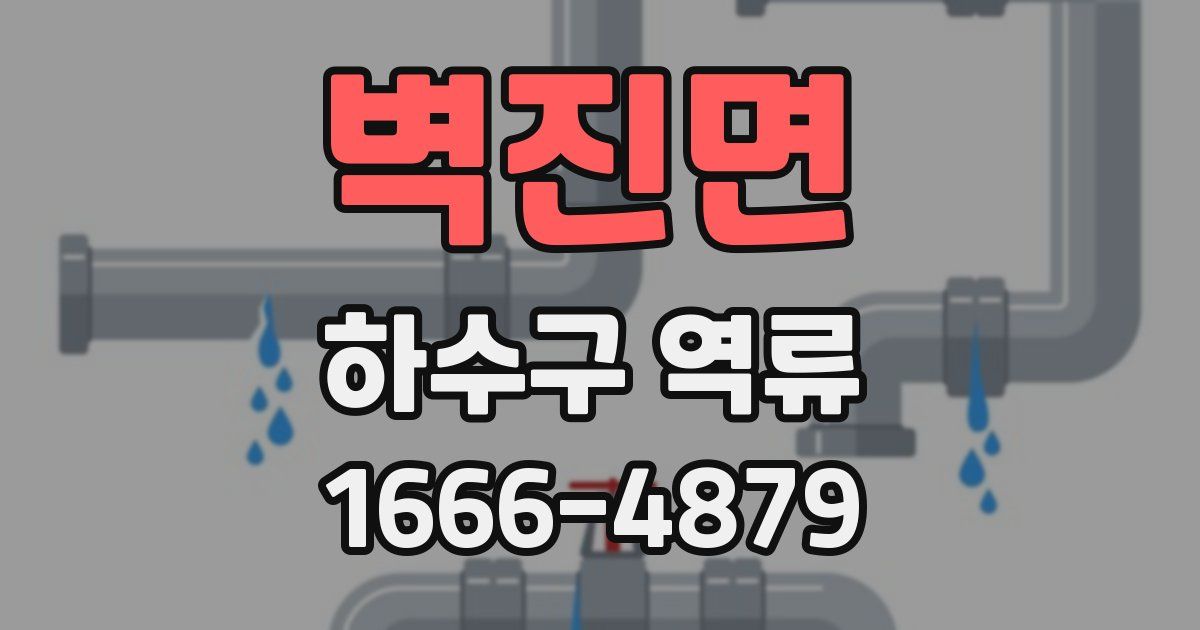 벽진면 하수구 역류