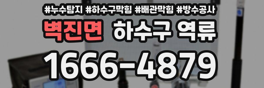벽진면 하수구 역류