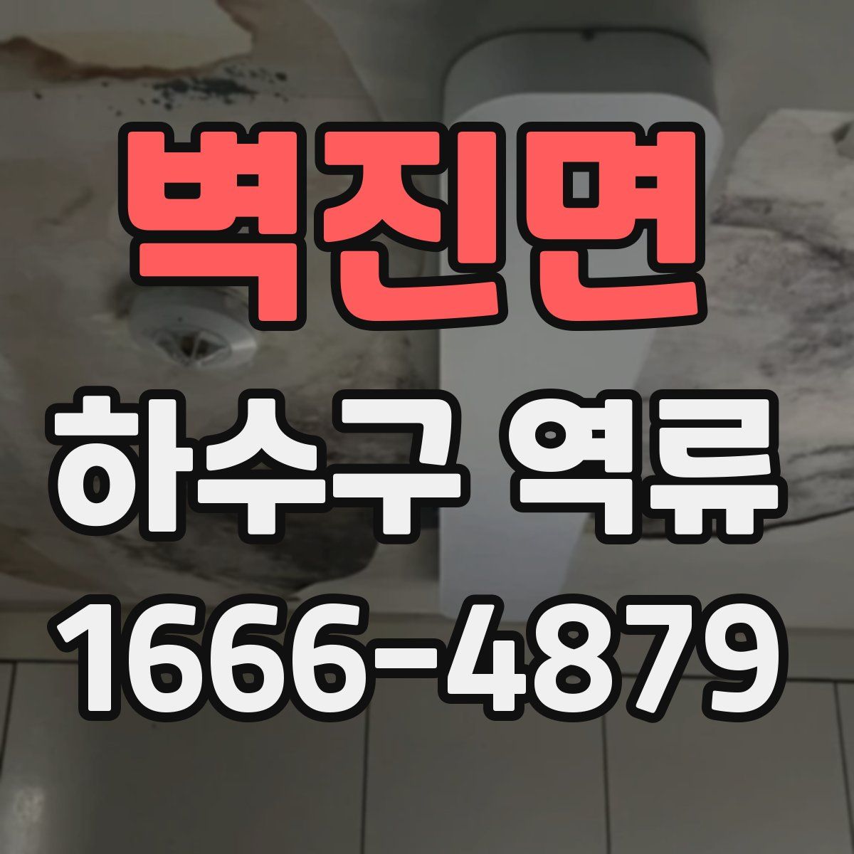 벽진면 하수구 역류