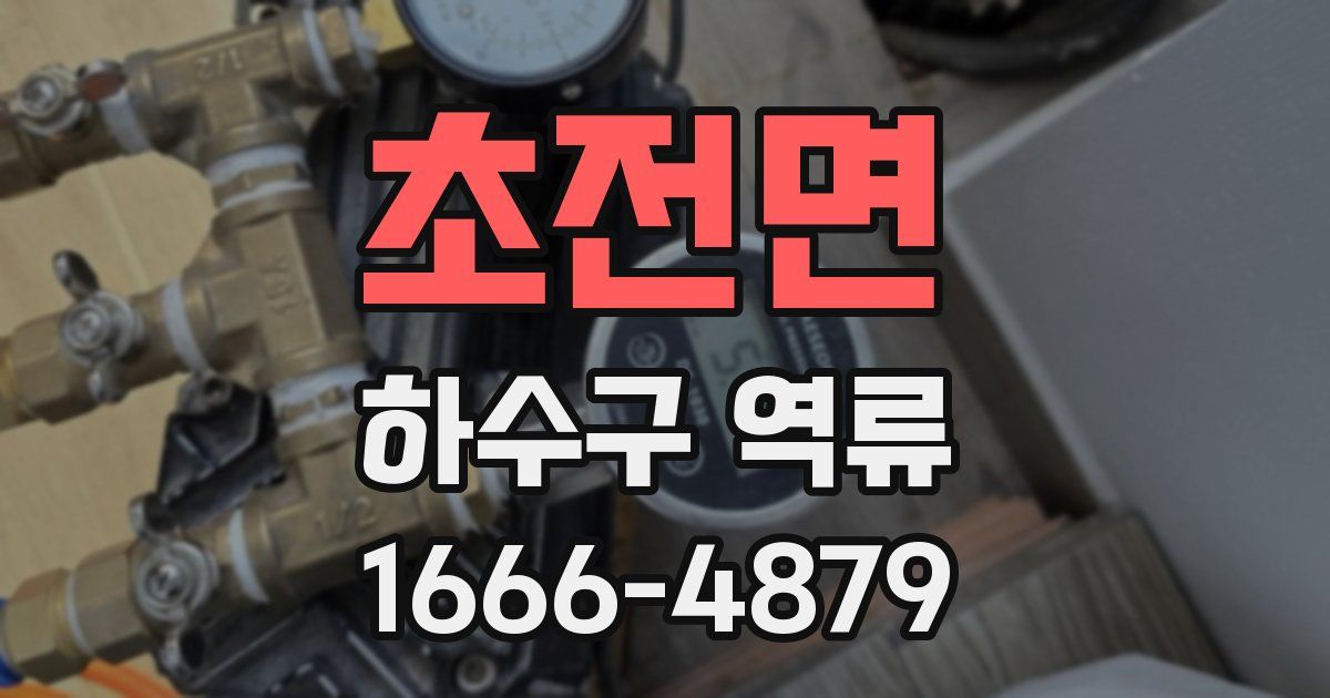 초전면 하수구 역류