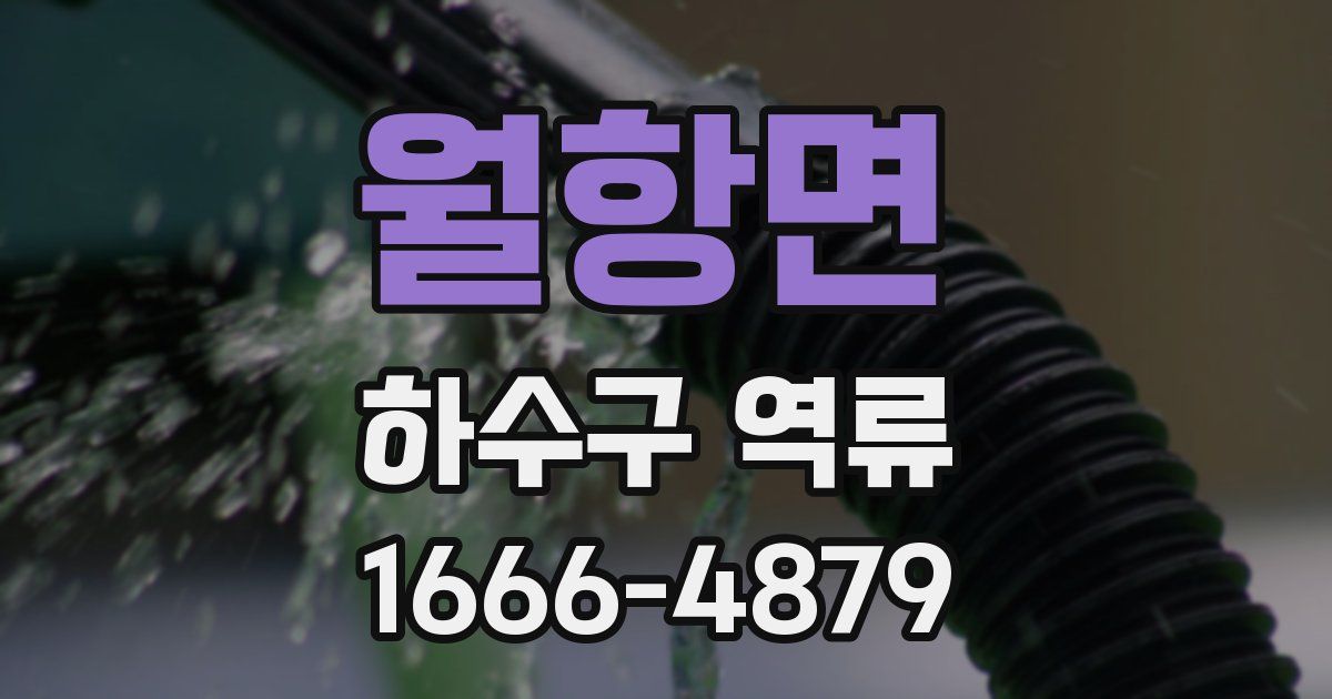 월항면 하수구 역류