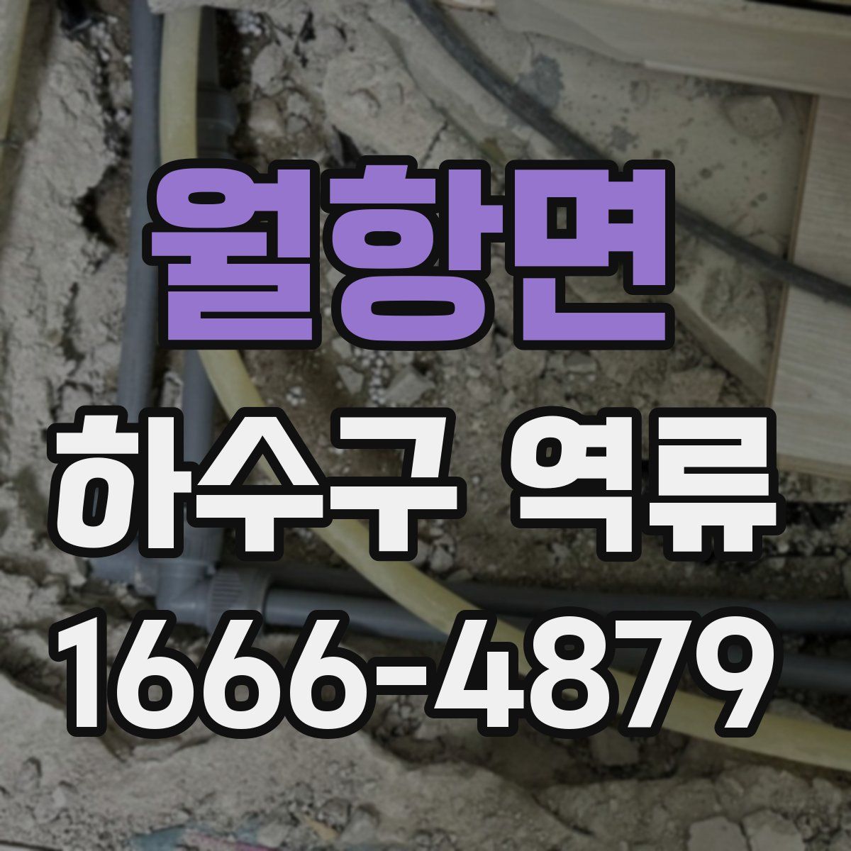 월항면 하수구 역류